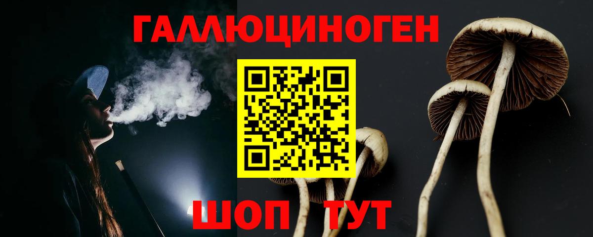 Псилоцибиновые грибы мухоморы Мытищи